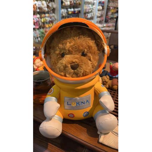 宇宙探险队-LOKNA定制棕熊-站姿-25厘米